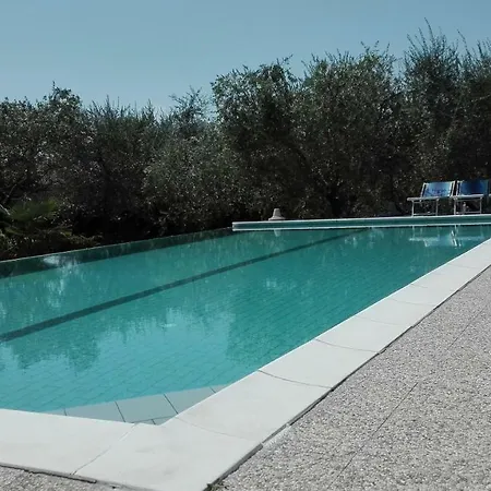Calicante *
